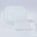 Maselnica - Kamelia Niedekorowana - zdjęcie