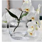 Wazon 18 cm - Latitude (C532) - zdjęcie