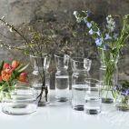 Dzbanek 750 ml - NEPENTHES (4987) - zdjęcie