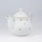 Czajnik 1,60 l - 0112 JASTRA - zdjęcie