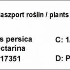 Nektaryna kolumnowa 'Prunus persica' Red Gold Z Donicy - zdjęcie 