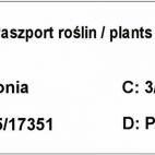 Mahoń 'Mahonia aquifolium' - zdjęcie 