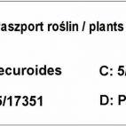 Rozplenica Pennisetum Alopecuroides - zdjęcie 