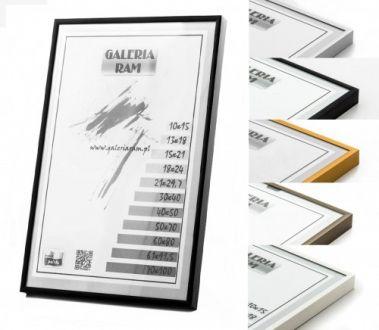 Rama Aluminiowa Alu G 50x100 - zdjęcie główne