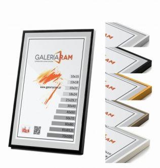 Rama Aluminiowa Alu G 90x120 - zdjęcie główne