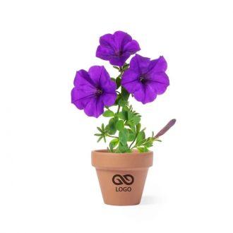 Doniczka do kwiatów, 5-8 nasion petunii i ziemia - neutralny - zdjęcie główne