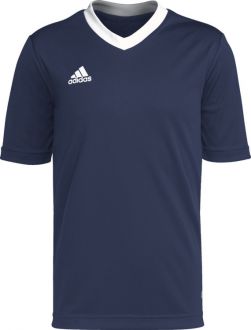 Koszulka dla dzieci adidas Entrada 22 Jersey grantowa - zdjęcie główne