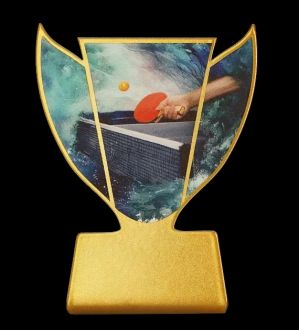 Trofeum metalowe - Tenis stołowy - zdjęcie główne