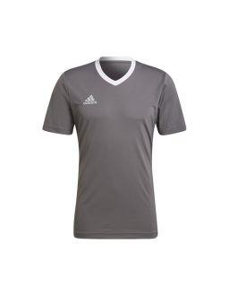 Koszulka męska adidas Entrada 22 Jersey szara - zdjęcie główne