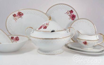 Serwis obiadowy dla 6 osób / 25 części - G529 ASTRA - zdjęcie główne