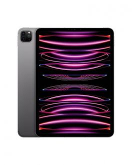 Apple iPad Pro 11 M2 256GB Wi-Fi + Cellular gwiezdna szarość - zdjęcie główne