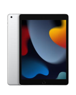 Apple iPad 10,2 WiFi 256GB srebrny - zdjęcie główne
