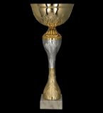 Puchar metalowy złoto-srebrny H-21,5cm, R-80mm 9266G
