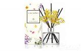 Dyfuzor zapachowy DAFFODIL 200 ml - VANILA&SANDALWOOD (98099266656)