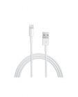 Przewód do iPad/iPhone Apple Lightning/ USB - biały